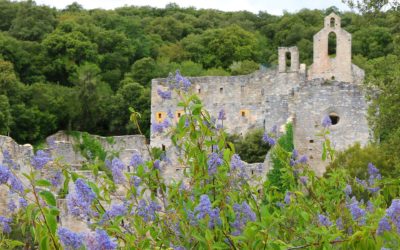 El Jardín Botánico suspende temporalmente las visitas guiadas