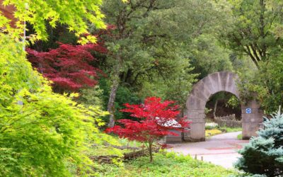 El Jardín abrirá sus puertas en el mes de abril