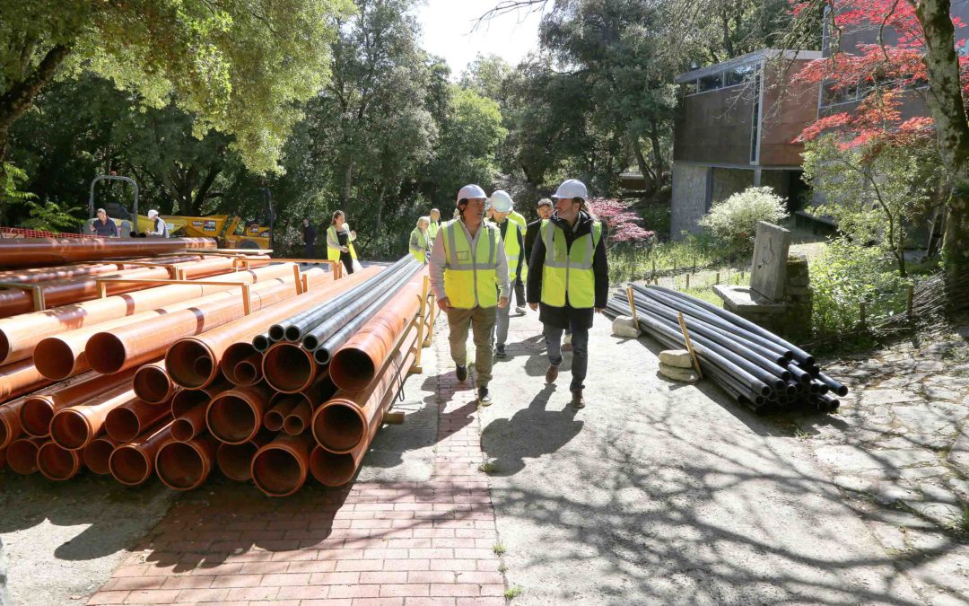 El Jardín Botánico de Santa Catalina afronta su última fase de remodelación