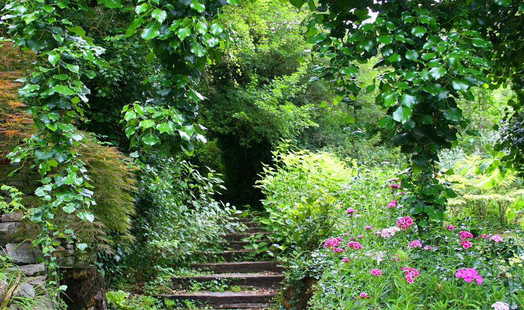 El Jardín Botánico de Santa Catalina reabre sus puertas el próximo 12 de junio