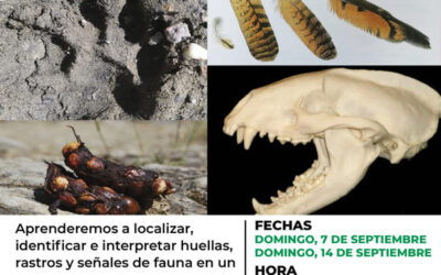 Taller de rastreo de fauna