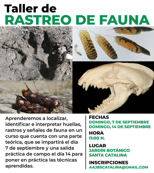 Taller de rastreo de fauna