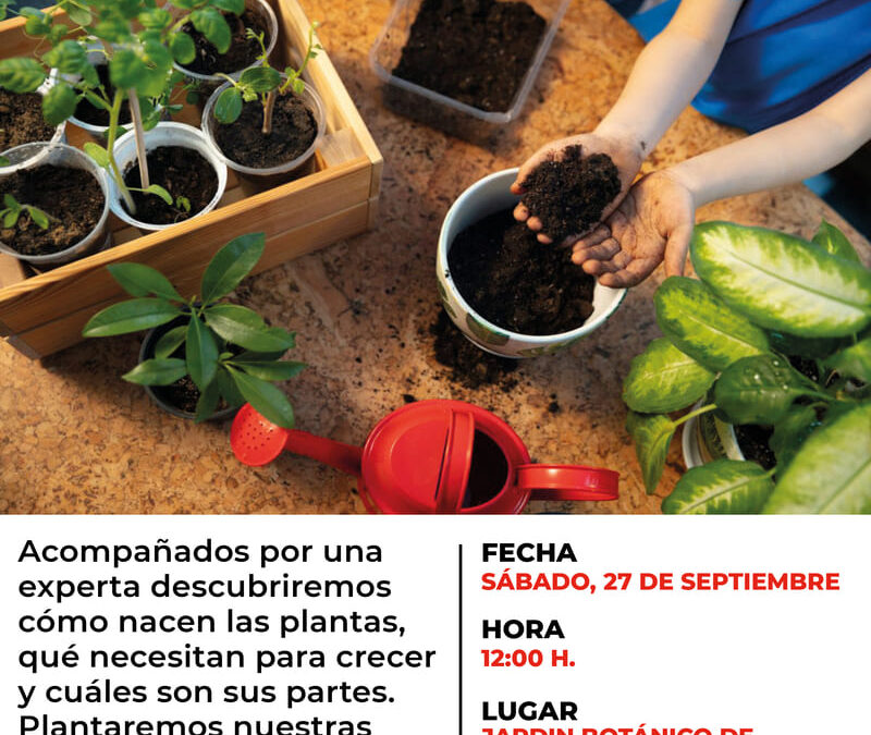 Taller Jardinería infantil