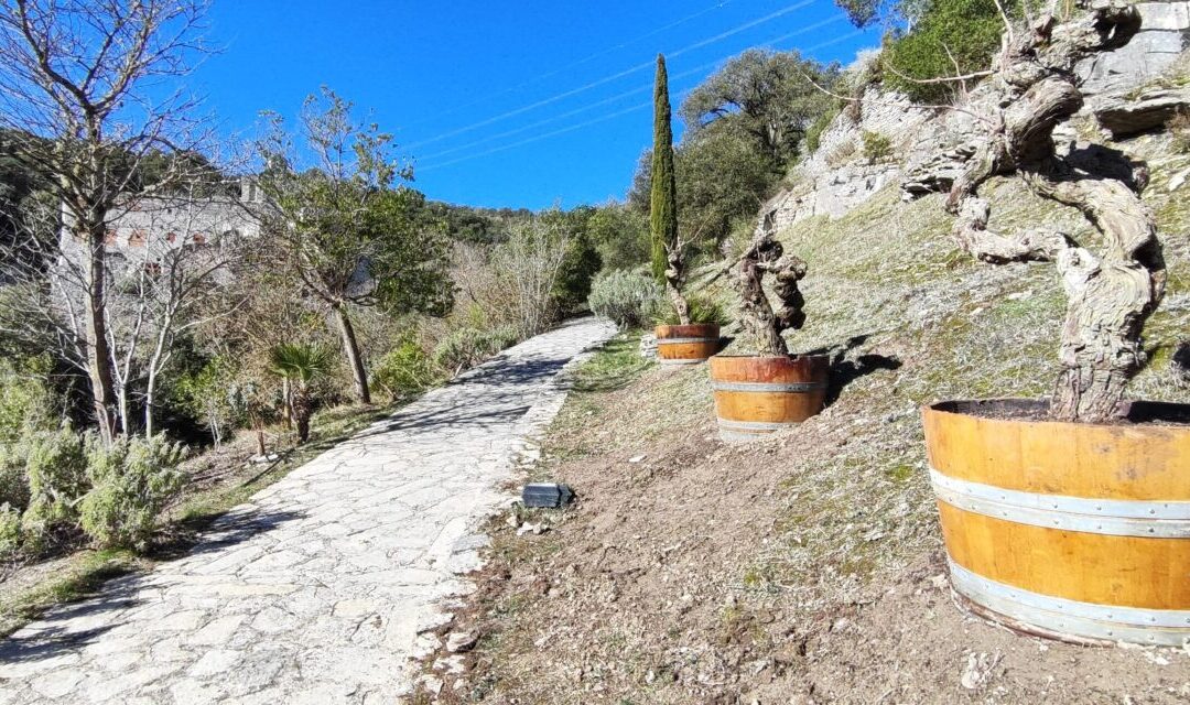 Santa Catalina reabrirá en abril tras un invierno de diferentes actuaciones de mejora y consolidación de espacios