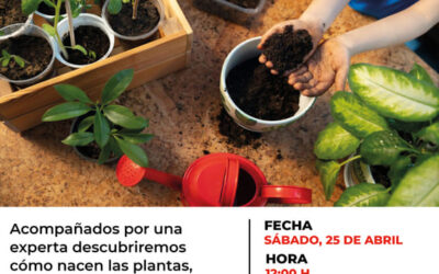 Inicio de actividades temporada 2026