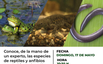 Taller de Herpetología