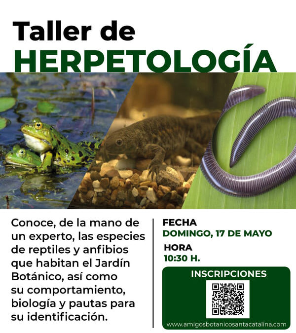 Taller de Herpetología