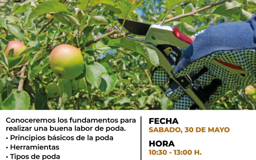 Taller poda de árboles frutales